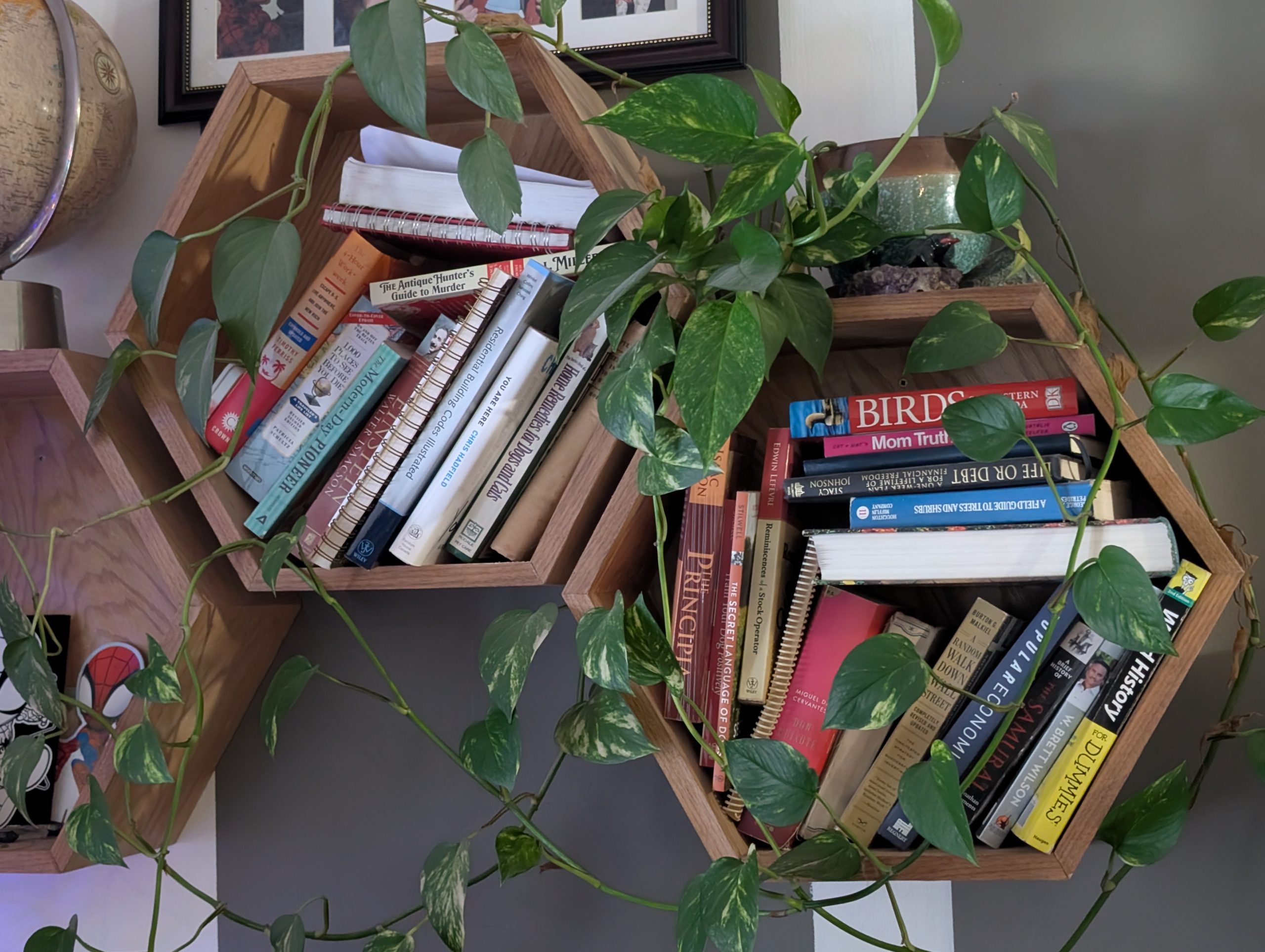 Hexagonal Shelves - Individuel Shelves - Image 4