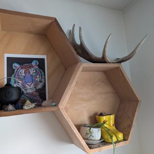 Hexagonal Shelves - Individuel Shelves