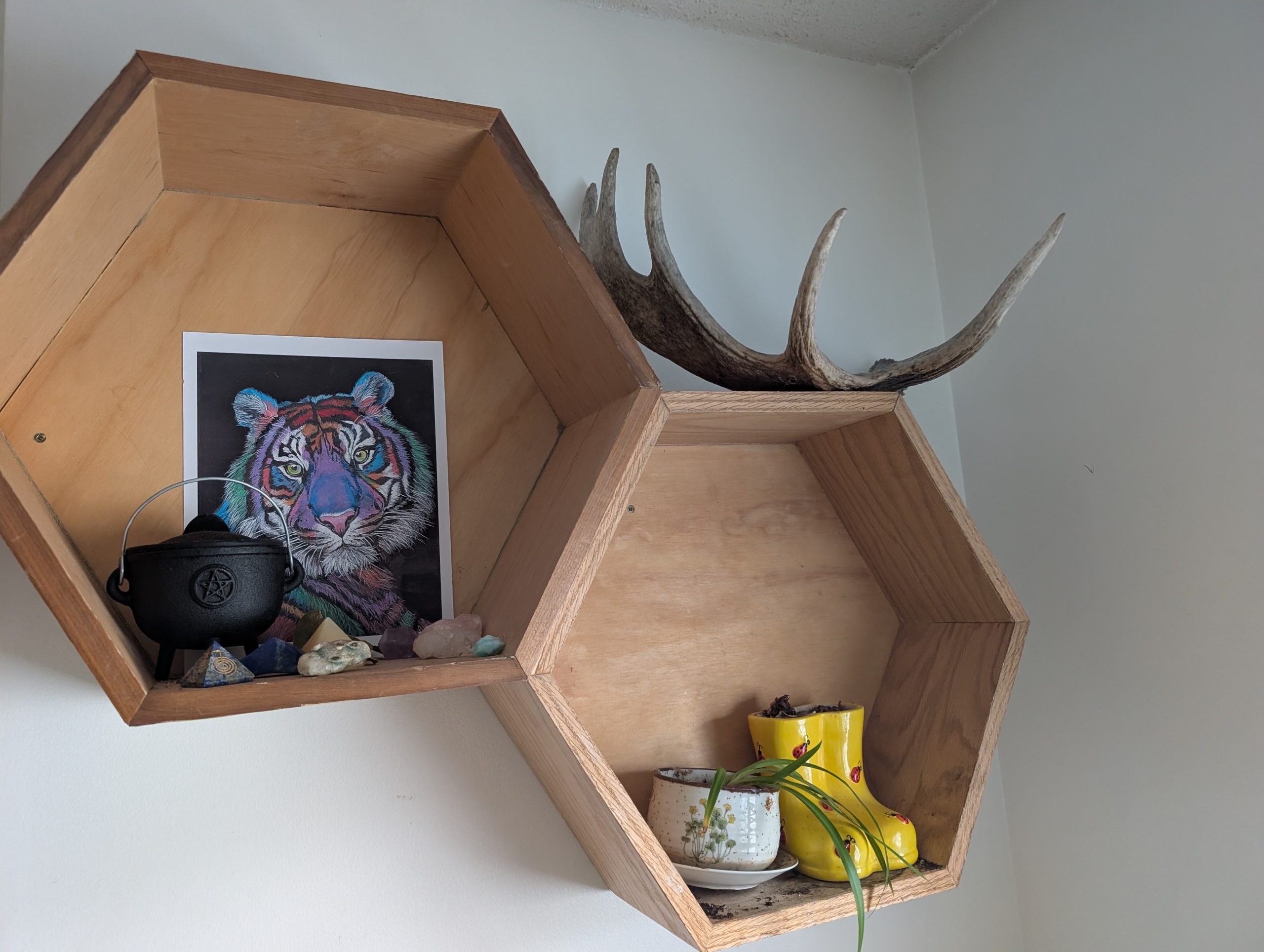 Hexagonal Shelves - Individuel Shelves